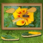 Para rastrear y compensar: rompecabezas oculto